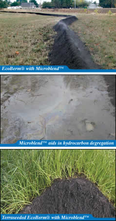 EcoBerm with Microblend / Microblend aids in hydrocarbon degregation / Terraseeded EcoBerm with Microblend
