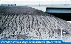 Partially treated slope demonstrates effectiveness