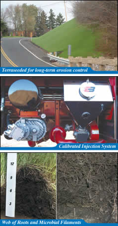Terraseeded for long-term erosion control / Calibrated Injected System / Web of Roots and Microbial Filaments